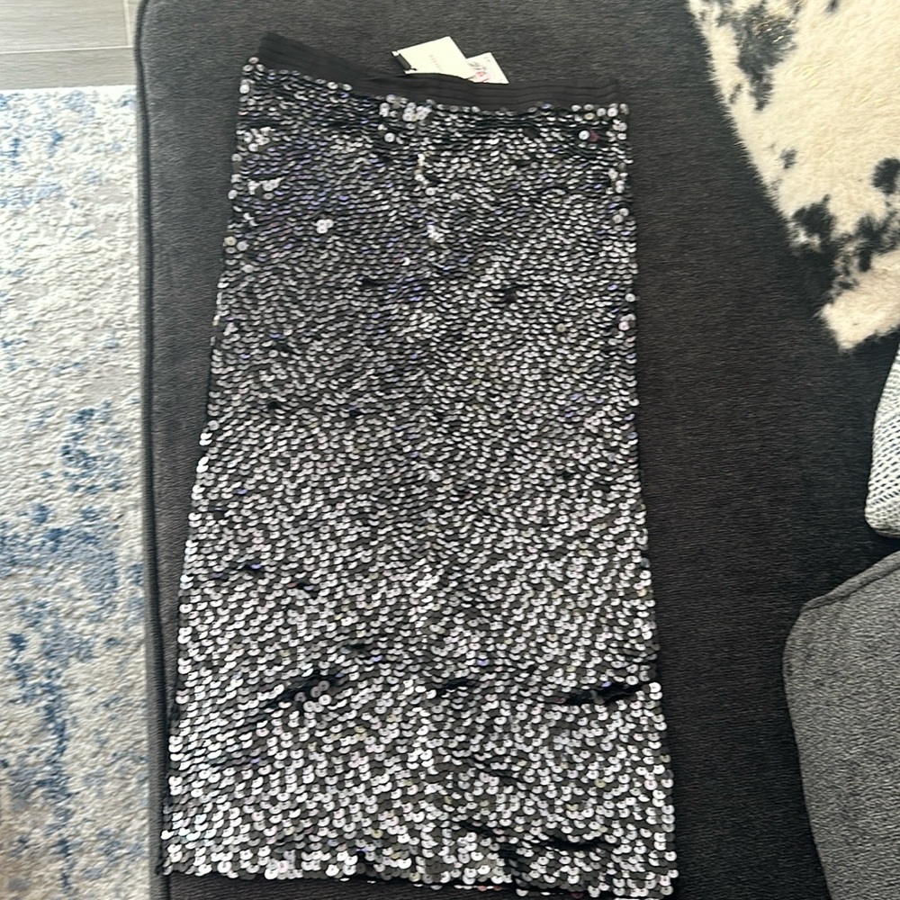 Sequin Skirt